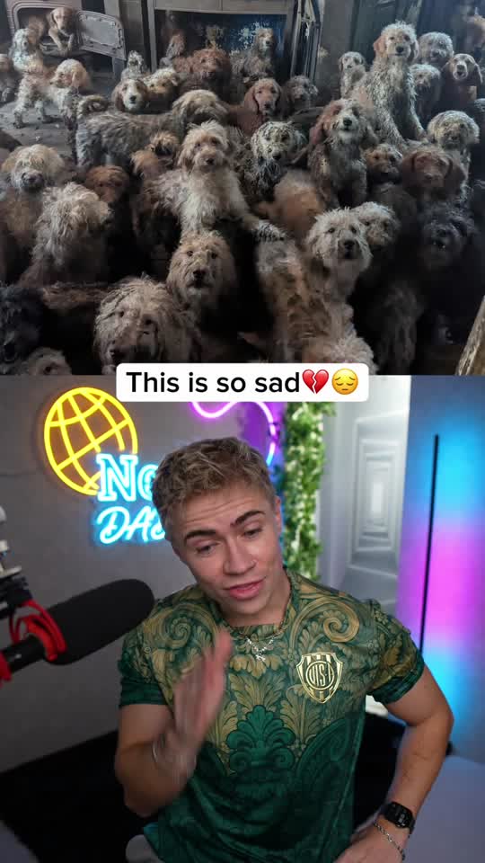 This is NOT AI!😳💔